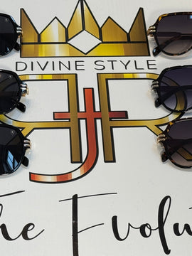 Animal Aviators