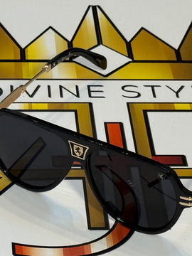 Animal Aviators